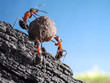 team of ants rolls stone uphill, teamwork concept
