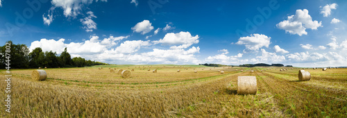 Photo: Strohballen auf einem Feld als Panoramafoto Strohballen auf einem Feld als Panoramafoto