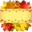 Fall leafs abstract background with place for your text