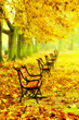 Foto: Row of red benches in the park Row of red benches in the park