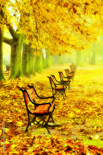 Photo: Row of red benches in the park Row of red benches in the park