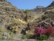 Gran Canaria