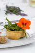 Photo: Ruccola mit Kapuzinerkresse Ruccola mit Kapuzinerkresse