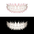 Teeth