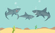 sharks