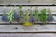 Herbs drying on the wooden barn in the garden