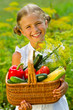 Vegetable garden - lovely girl with picked vegetables in basket