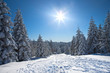 Wintersonnenschein