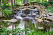 Waterfall in the gaden