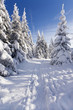 Winterzeit