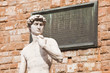 The statue of David in Florence, Italy.