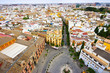 View from tower to Sevilla