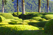 marqueyssac