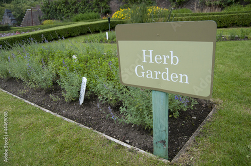 Photo: panneau herb garden panneau herb garden