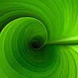 Texture of a green leaf. Vector illustration
