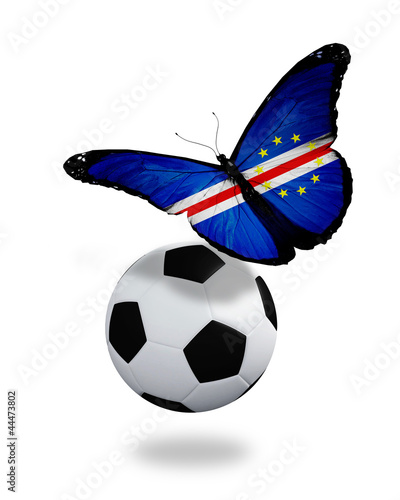 Illustration: Concept - butterfly with New Zealand flag flying near the ball, Concept - butterfly with New Zealand flag flying near the ball,