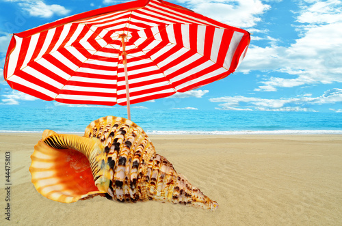 Photo: umbrella sea clouds shell umbrella sea clouds shell