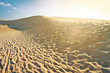 Shifting dunes at sunset in Leba, Poland