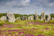 Foto: Menhirs de Carnac Menhirs de Carnac