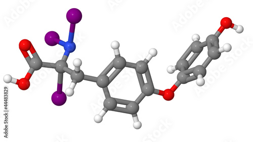 Illustration: Triiodothyronine (T3) molecular model Triiodothyronine (T3) molecular model