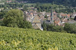VILLAGE VITICOLE