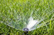Foto: Garden sprinkler Garden sprinkler