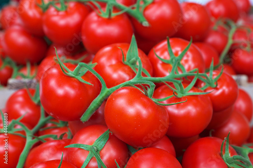 Photo: Vine Red tomatoes Vine Red tomatoes