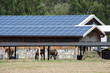 Photo: Solar panels farm Solar panels farm