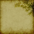 bamboo on old grunge antique paper texture