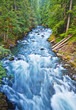 A beautiful flowing river in mount rainer national park