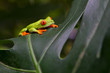 Foto: Ralf Ralf