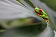 Foto: Ralf Ralf