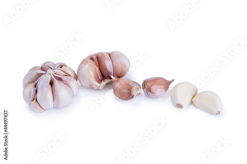 Photo: Garlic vegetable Garlic vegetable