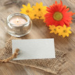 Schild Wellness/Therapie blanko