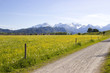 Foto: lovely panorama in the alps in Germany lovely panorama in the alps in Germany
