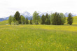Foto: lovely panorama in the alps in Germany lovely panorama in the alps in Germany