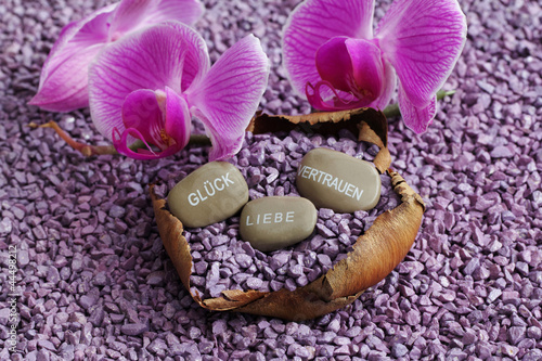 Photo: Liebe Glück Vertrauen Liebe Glück Vertrauen