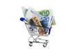 Euros im Einkaufswagen