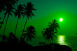 Beautiful tropical sunset
