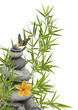 concept nature, détente, bien-être, relaxation