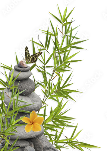 Photo: concept nature, détente, bien-être, relaxation concept nature, détente, bien-être, relaxation