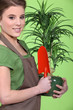 Young gardener