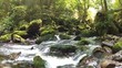 vidéo petite cascade 01