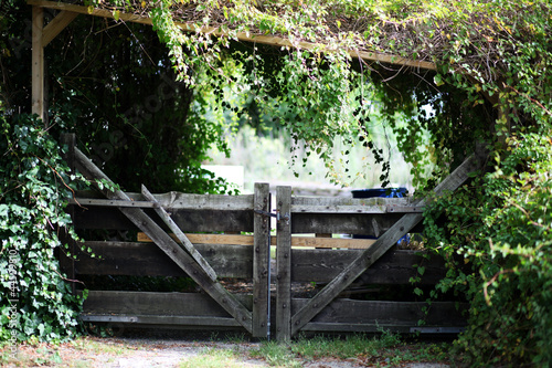 Photo: Wooden adventurous garden gate Wooden adventurous garden gate