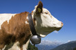 Suedtirol 0174