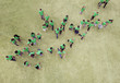 People in green t-shirts walking in field