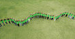 Portrait of people in green t-shirts forming wavy line in field