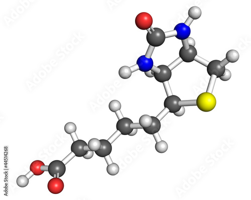 Illustration: Vitamin B7 molecule Vitamin B7 molecule