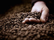 Close up of hand cupping coffee beans