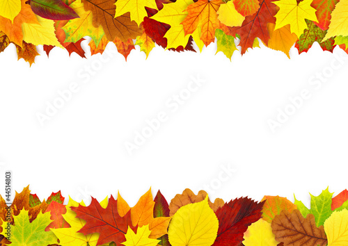 Photo: Colorful autumn leaves border Colorful autumn leaves border